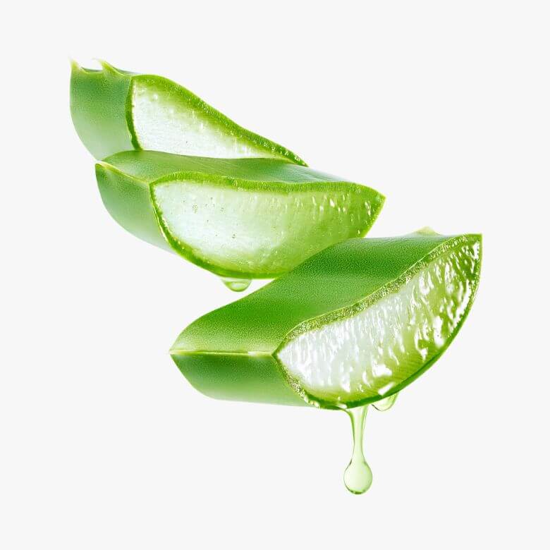 Gel de Aloé Vera com Doseador – 500ml